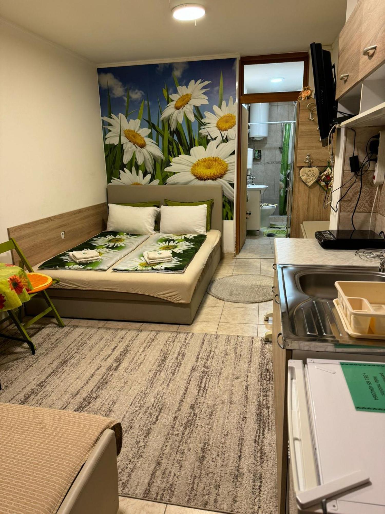 Nela Apartmani Ni Eksteriør billede